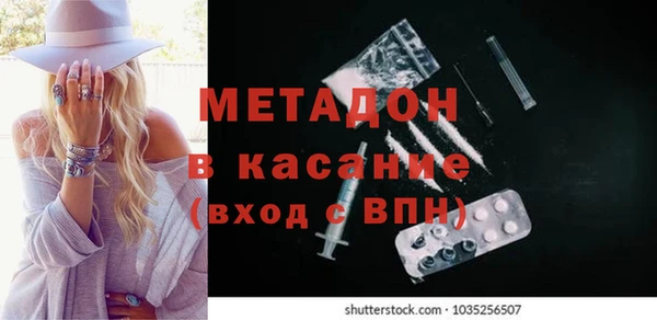индика Алзамай