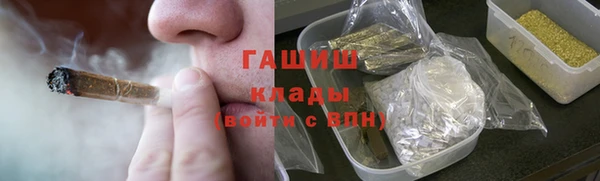 индика Алзамай