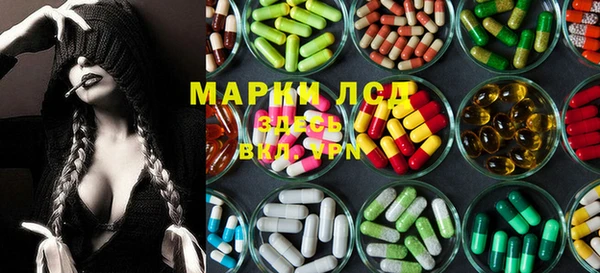 индика Алзамай