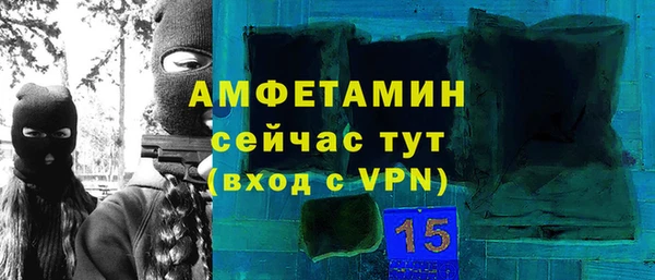 индика Алзамай