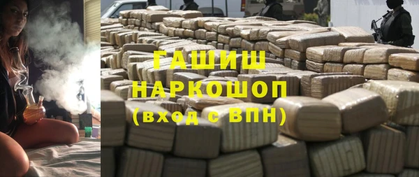 индика Алзамай